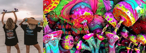jwh Богданович