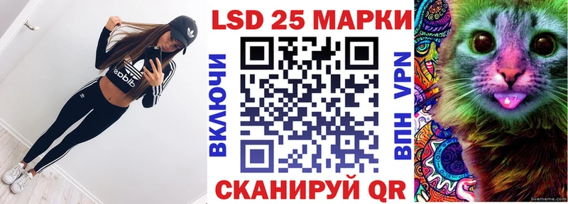 где найти   Болгар  Марки N-bome 1,8мг 